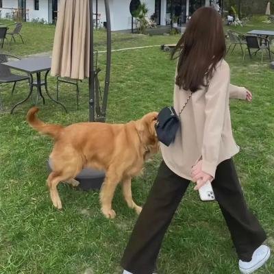 车站的马博布